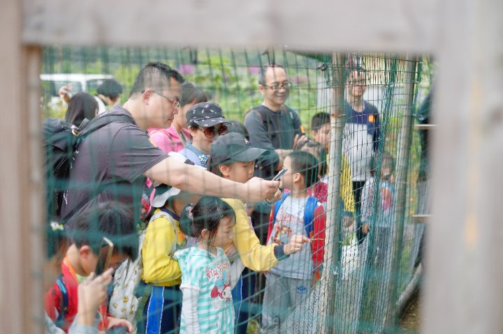 DSCF6272.JPG