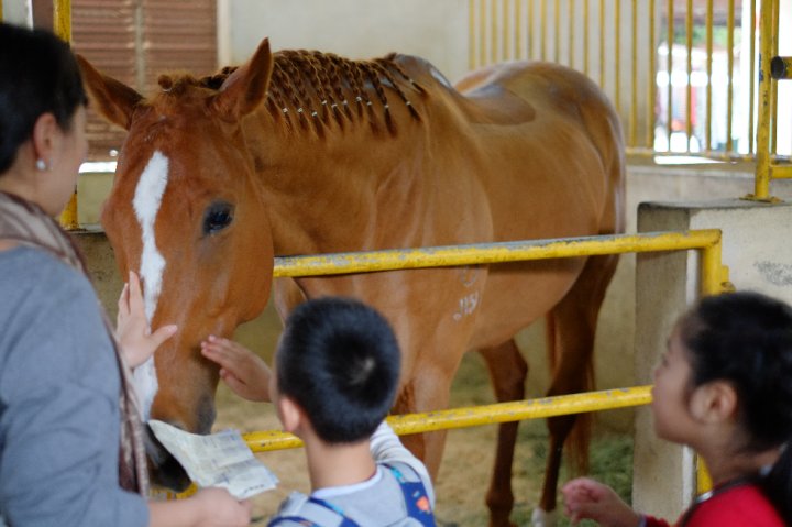 DSCF6337.JPG