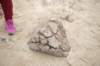 dscf7122_small.jpg