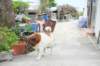 dscf7206_small.jpg