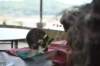 dscf7207_small.jpg