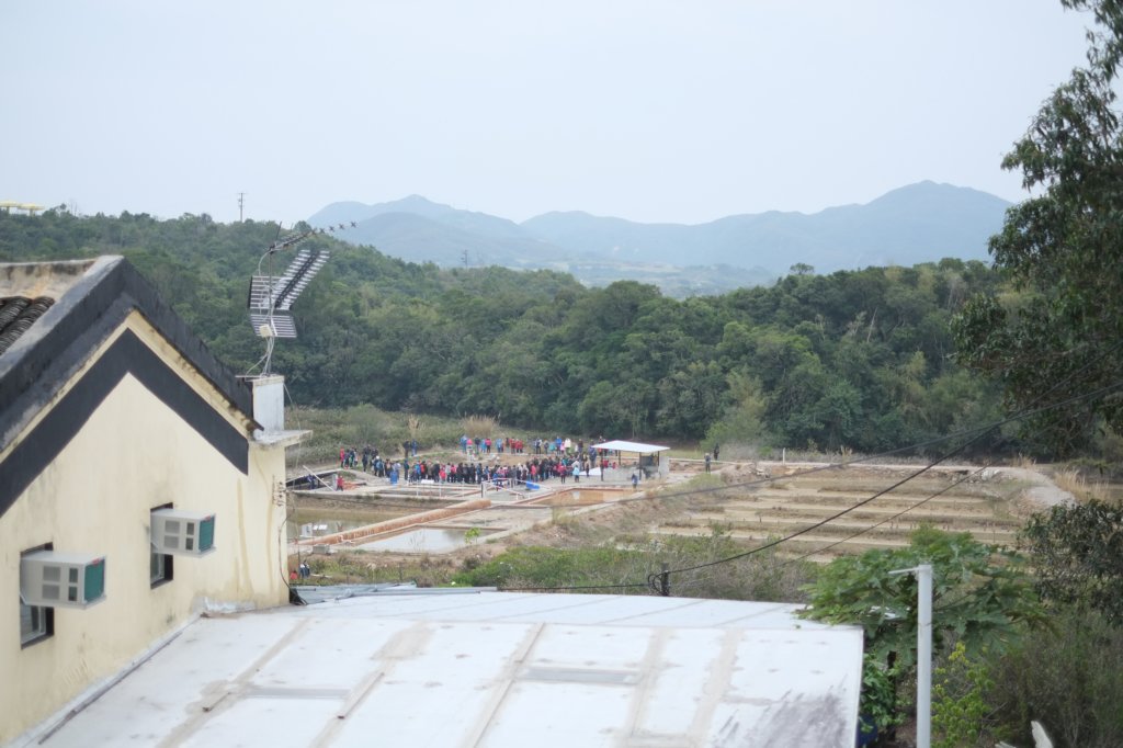 dscf7220.jpg